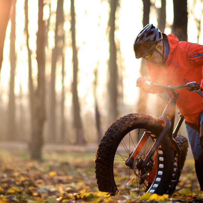 Top 5 Best E-bike Fat Tire Options for Every Adventure