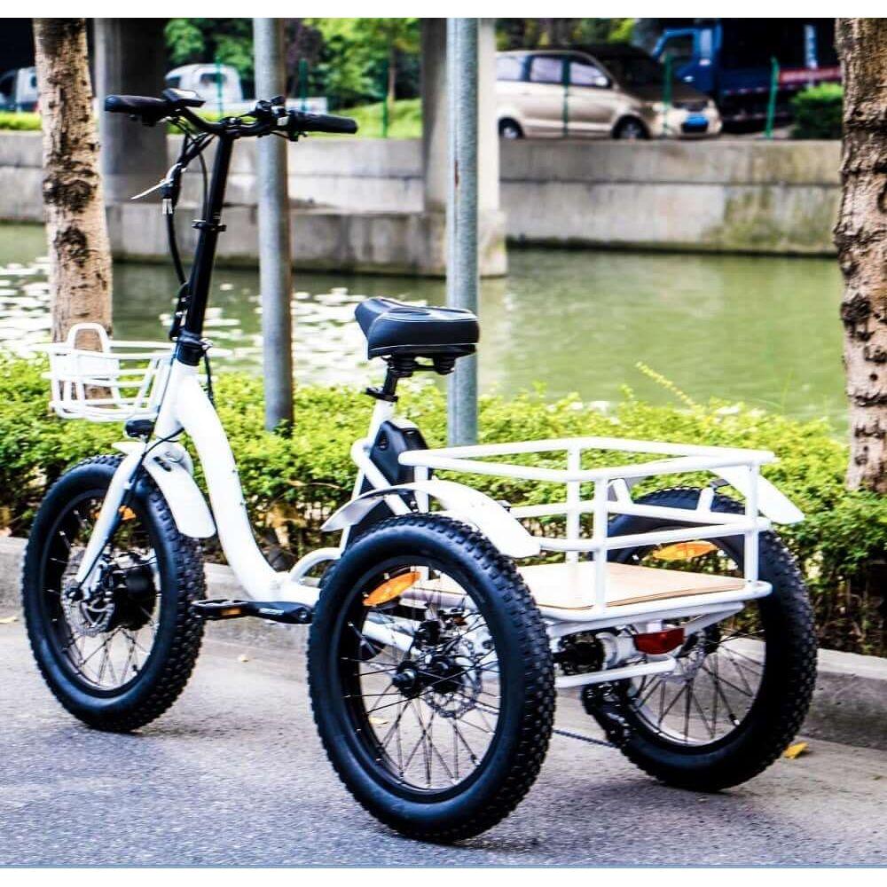 Best Electric Trikes