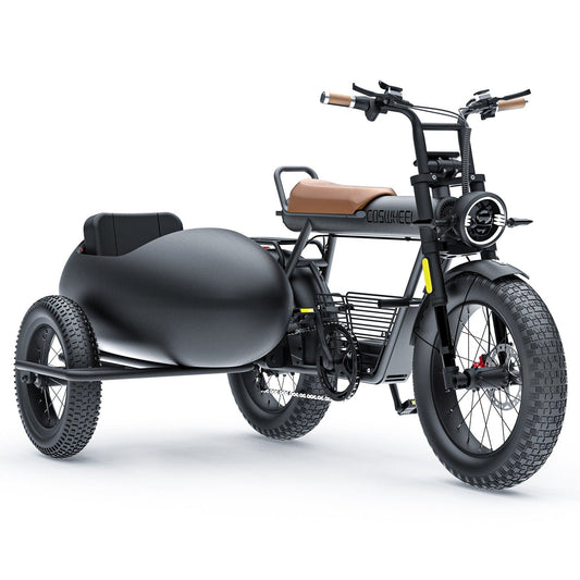 SIDECAR FOR CT20 EBIKE