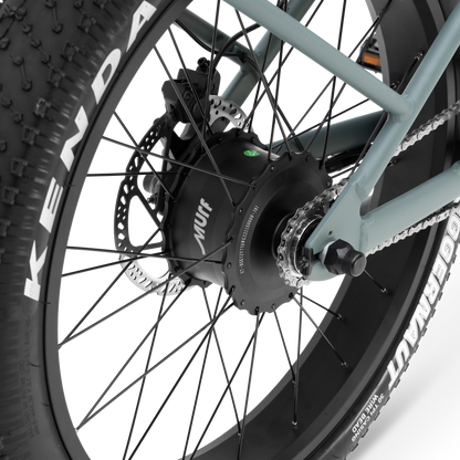 Murf The Alpha Murf - EB-ALP-OB-22