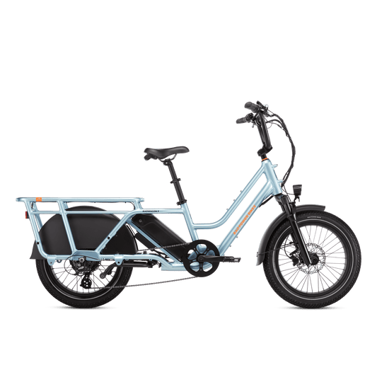 Rad Power Bikes RadWagon 5 Electric Cargo Bike - 102-00045