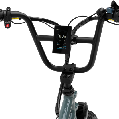 Murf The Higgs Cargo - EB-HGGCG-SG