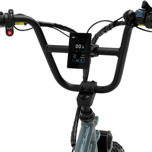 Murf The Higgs Cargo - EB-HGGCG-SG