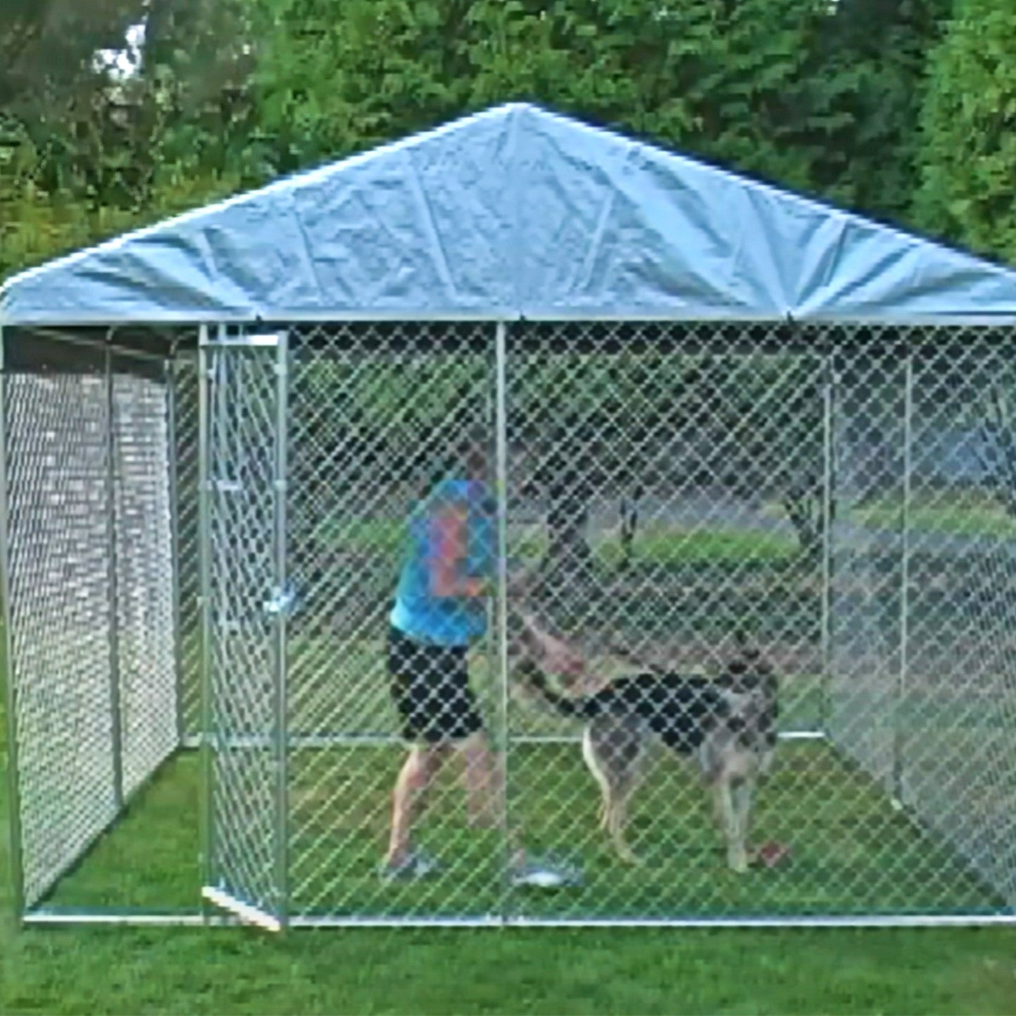 Lucky Dog 10' x 10' Chain Link Dog Kennel (2 Pack) & Waterproof Roof Cover - 174393