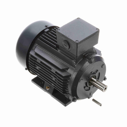 Marathon IEC Motor 1 1/2 HP Three Phase 230/460 - MR317