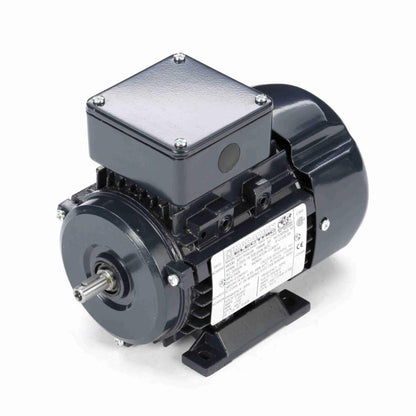 Marathon IEC Motor 1/4 HP 1700 RPM TEFC - MR301