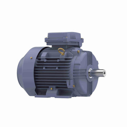 Marathon IEC Motor 10 HP 1775 RPM TEFC - MR331B