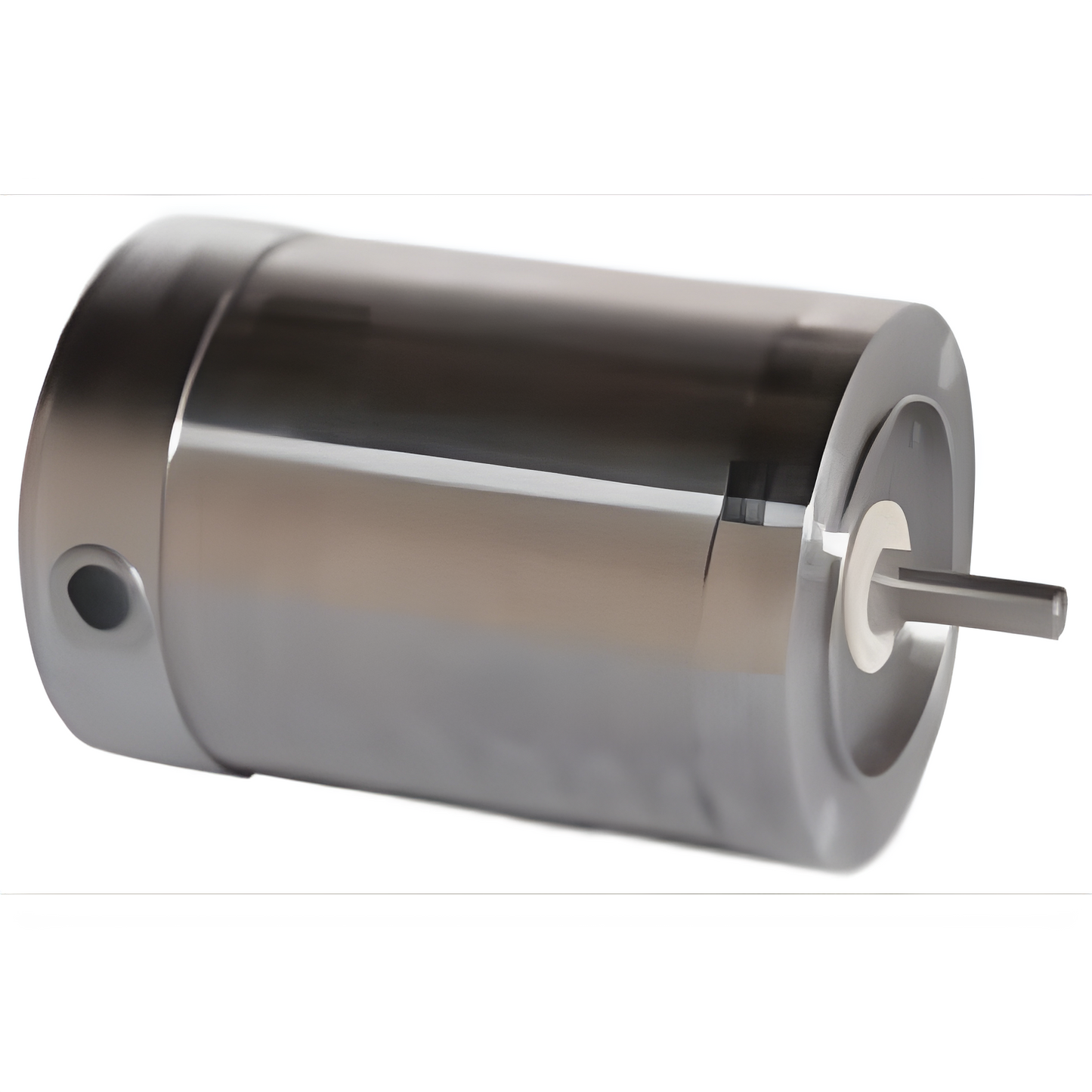 Marathon Leeson Extreme Duck Ultra Washguard Stainless Steel AC Motor - 119520.00