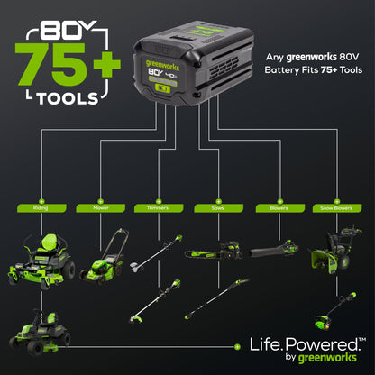 Greenworks 80V 800 CFM Cordless Battery Backpack Blower and Leaf Tarp w/ 4.0Ah Battery & Rapid Charger - 2436002