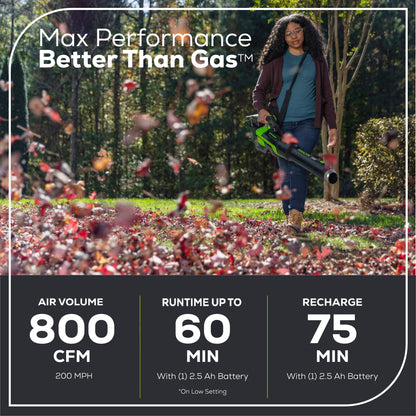 Greenworks 80V 800 CFM Brushless Leaf Blower w/ 2.5Ah Battery & Charger - 2436602