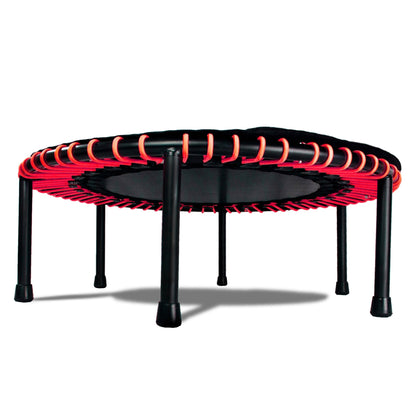 LEAPS & REBOUNDS 48" Adjustable Stability Bar with 48" Fitness Trampoline, Red - 318056