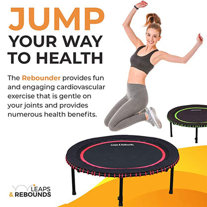 LEAPS & REBOUNDS 48" Adjustable Stability Bar with 48" Fitness Trampoline, Gray - 318057