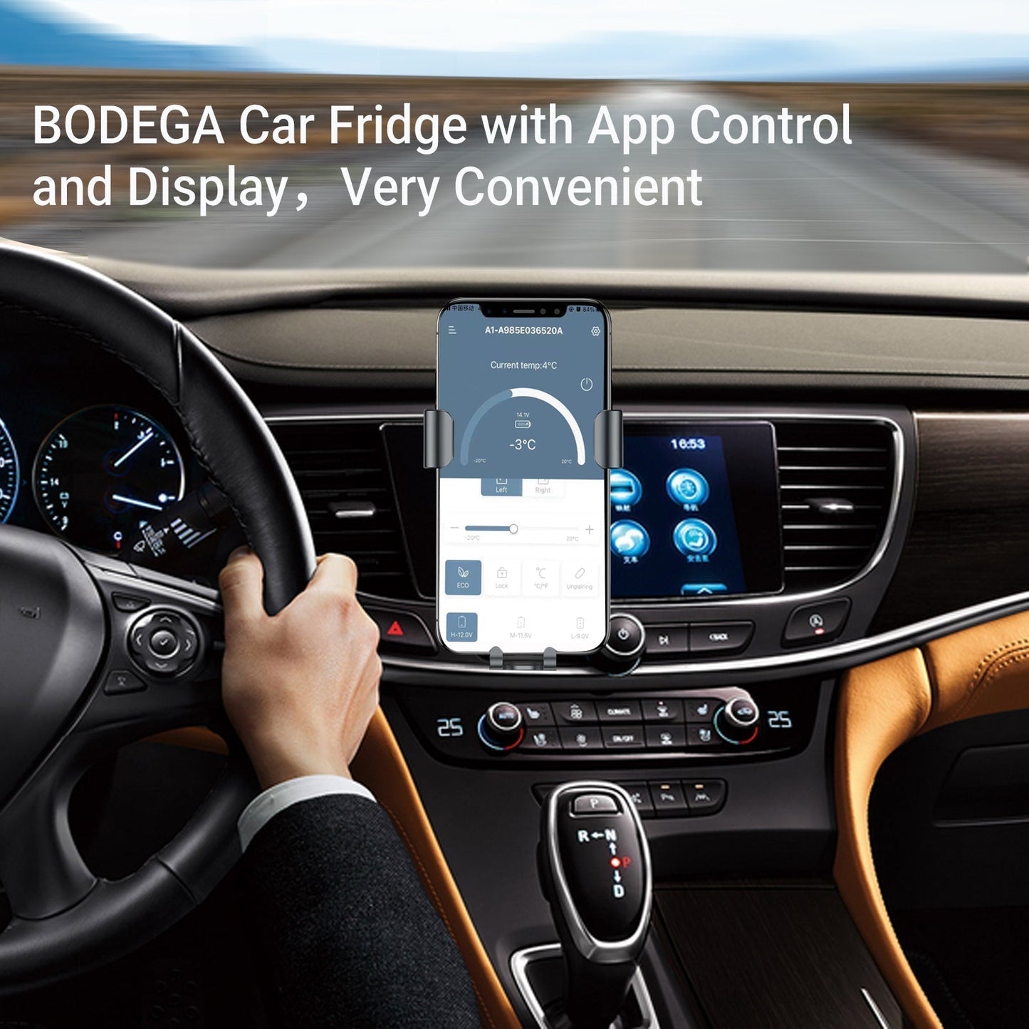 BODEGAcooler 45Quart/42L AL42 Dual Zone Portable Car Fridge - BG-AL42