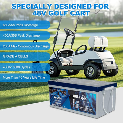 WEIZE 48V 105Ah LiFePO4 Battery w/ Bluetooth & BMS - BAC-0126VWEI