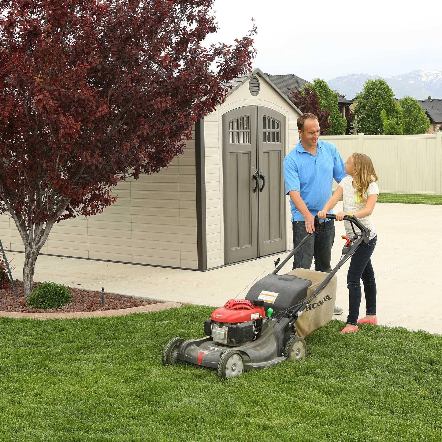 Lifetime 8 Ft. X 20 Ft. Outdoor Storage Shed - 60120 - Backyard Provider
