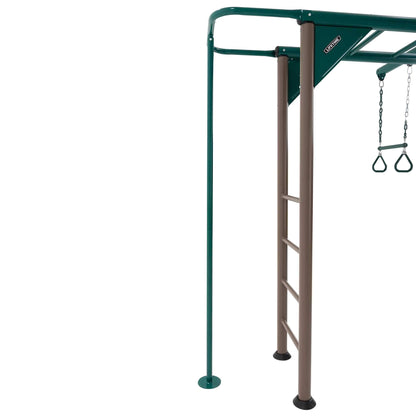 Lifetime Monkey Bar Adventure Swing Set (Earthtone) - 91028 - Backyard Provider