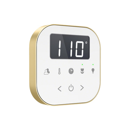 Mr. Steam AirTempo® Steam Shower Control