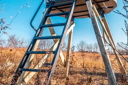 Banks Outdoors 12' Steel Ladder - ST12LAD