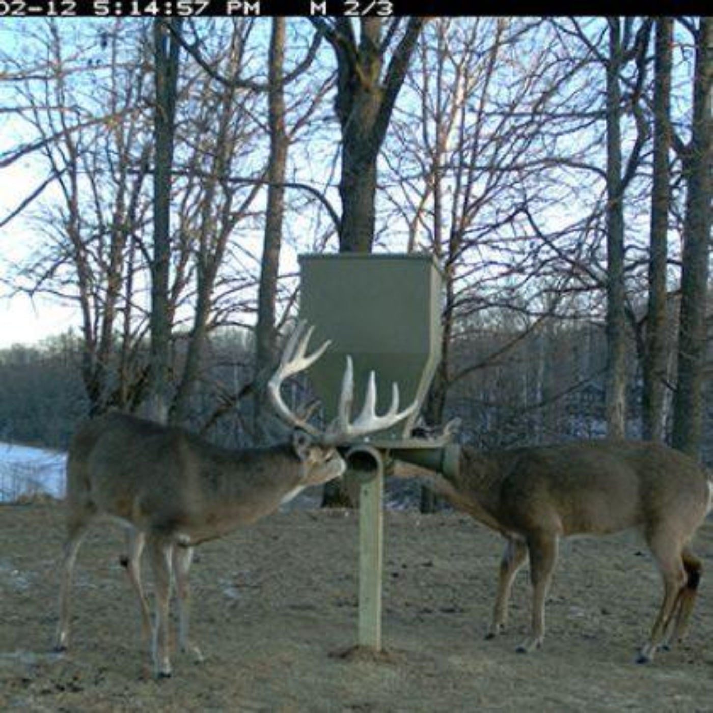 Banks Outdoors The FeedBank 300 Gravity Deer Feeder - FB300