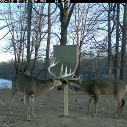 Banks Outdoors The FeedBank 300 Gravity Deer Feeder - FB300