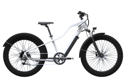 Blix Bike Ultra Fat Tire eBike - 01-0011-001-010