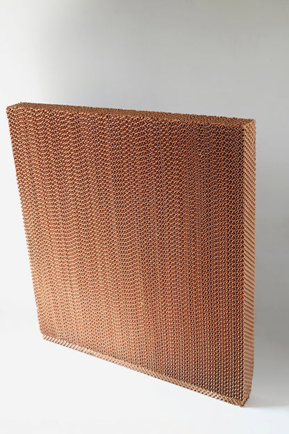 BLUECO PAD (MEDIA) - BCO30-P