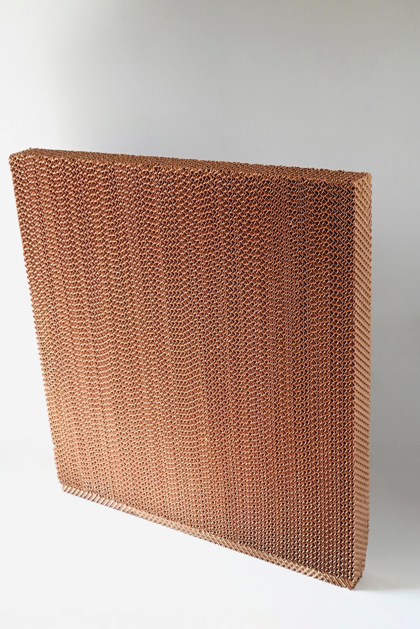 BLUECO PAD (MEDIA) - BCO30-P