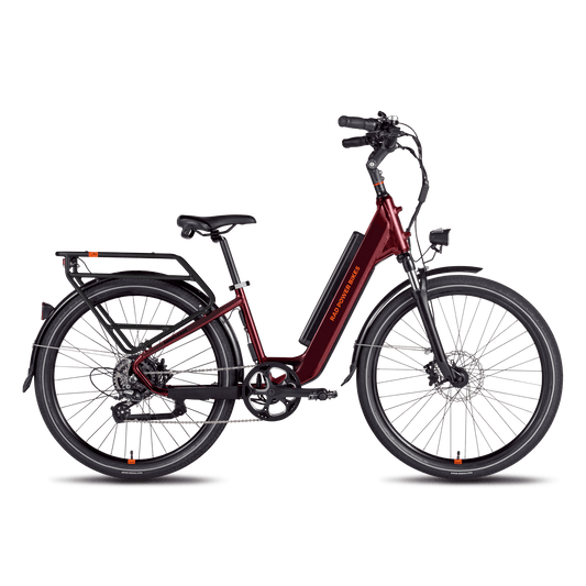 Rad Power Bikes RadCity  5 Plus Electric Commuter Bike - 104-00031