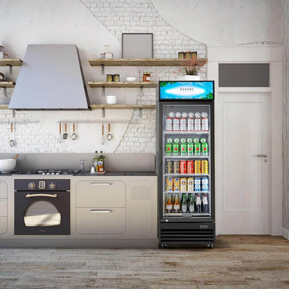 BODEGAcooler Commercial Glass Door Display Refrigerator Merchandiser 12.5 Cu. Ft - SS-P360WD