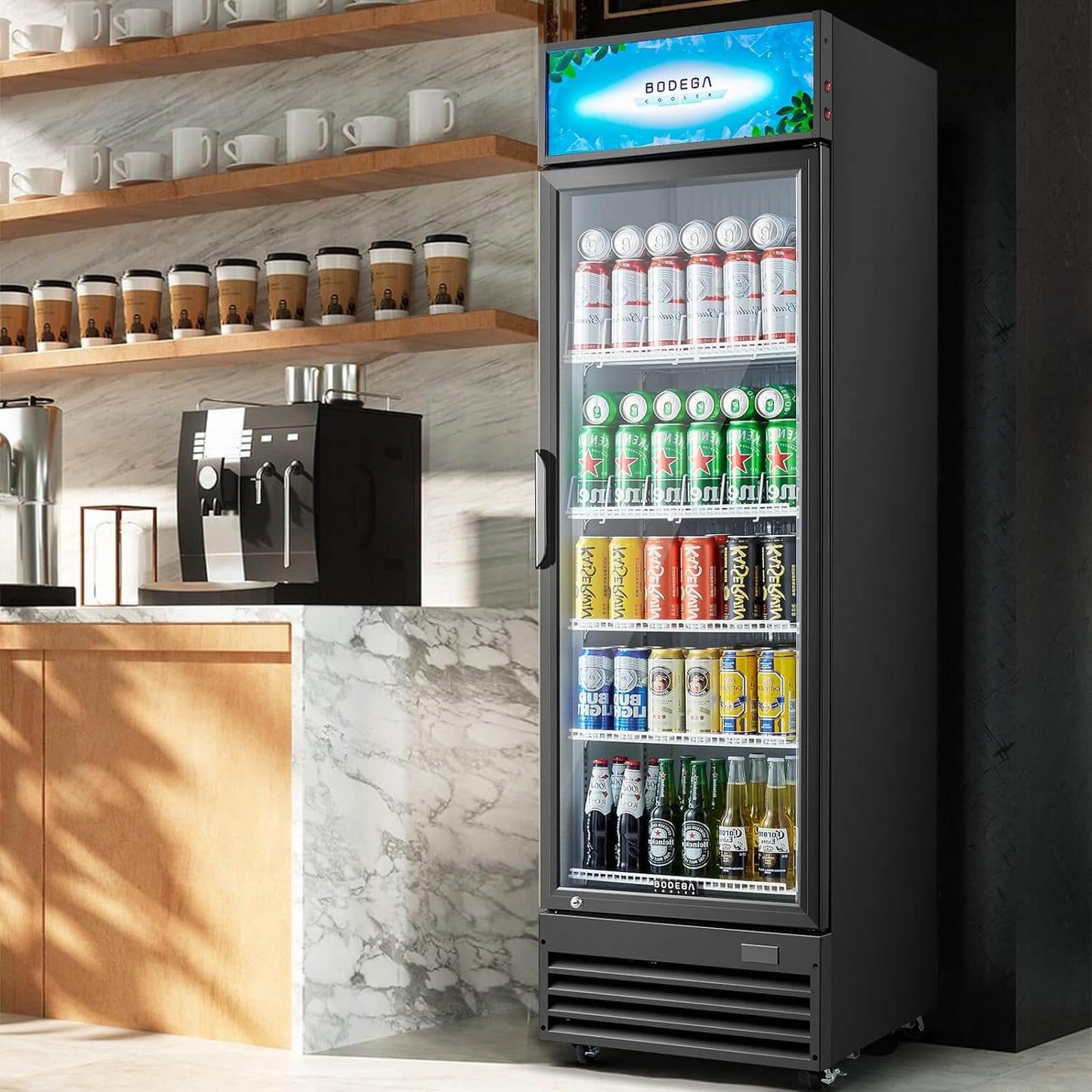 BODEGAcooler Commercial Glass Door Display Refrigerator Merchandiser 12.5 Cu. Ft - SS-P360WD