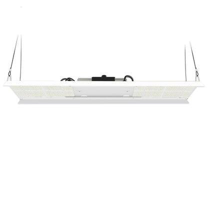 Horticulture Lighting Group HLG 350 Diablo