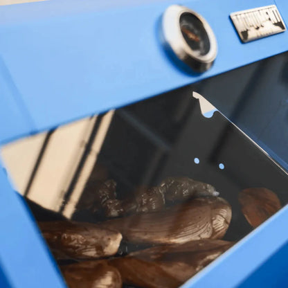 Monument Grills Mesa 200B Series | 2 Burner Propane Gas Grill in Blue - M200B