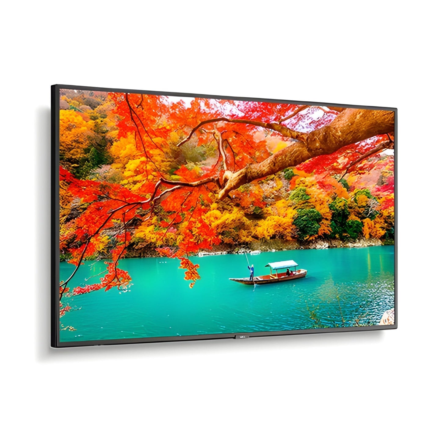 NEC MA431 43" Wide Color Gamut UHD Professional Display - MA431