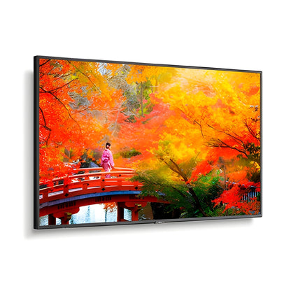 NEC MA491-IR 49" Wide Color Gamut Ultra High Definition Professional Display with pre-installed IR touch - MA491IR