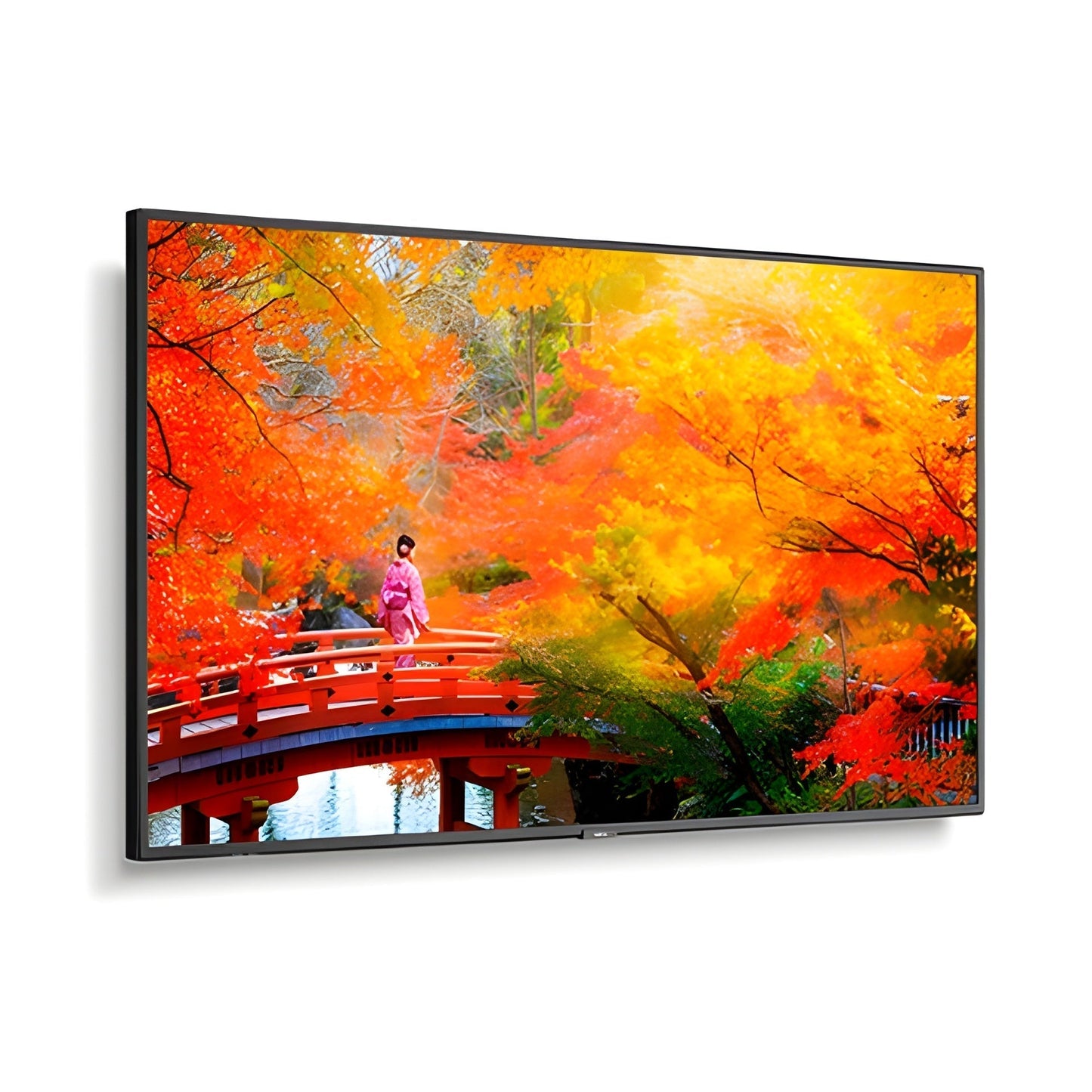 NEC MA491-PT 49" Wide Color Gamut Ultra High Definition Professional Display with PCAP touch - MA491PT