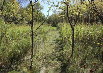 MAXIM 26" Brush Cutter Honda GCV390 - MBC190H