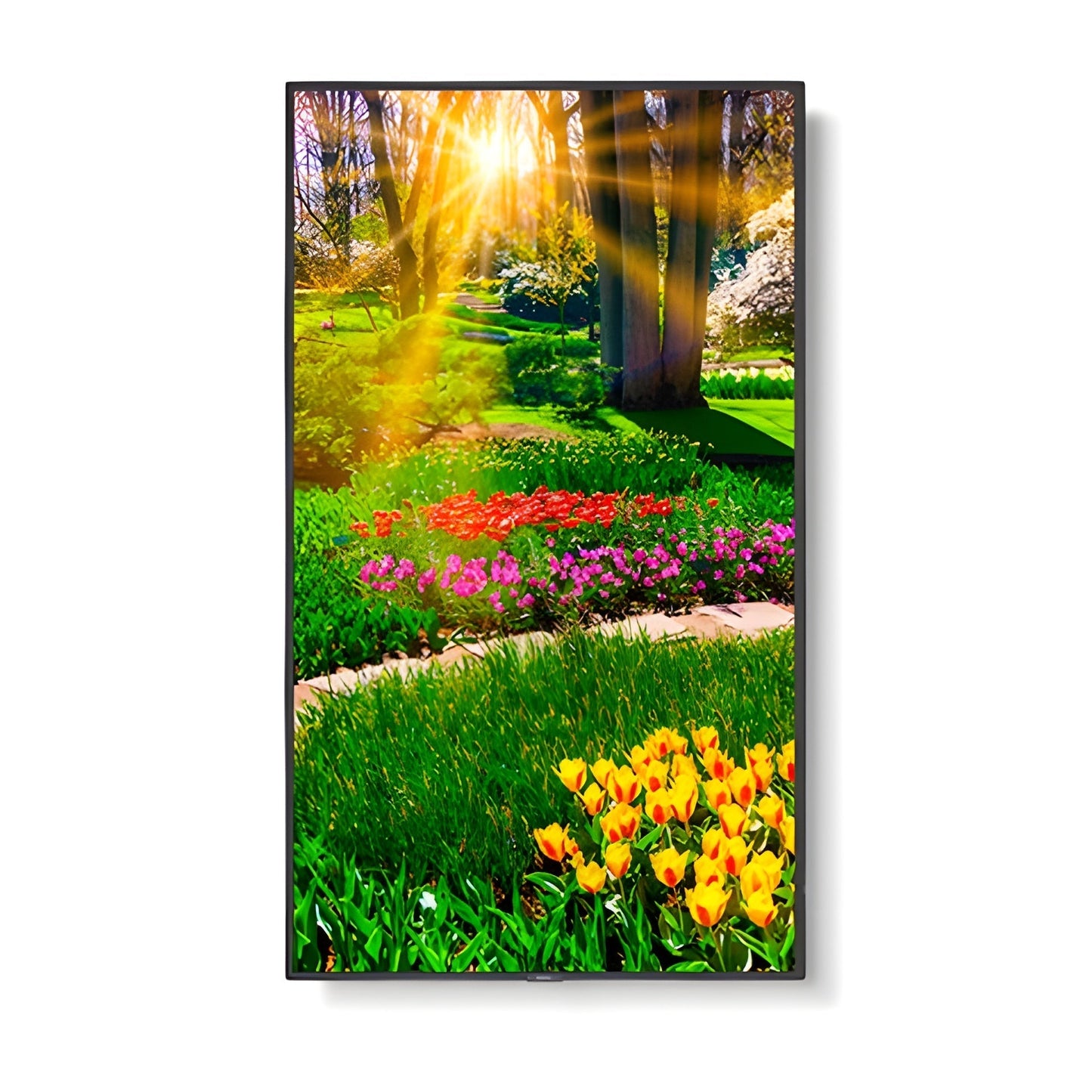 NEC M491 49" UHD Professional Display - M491