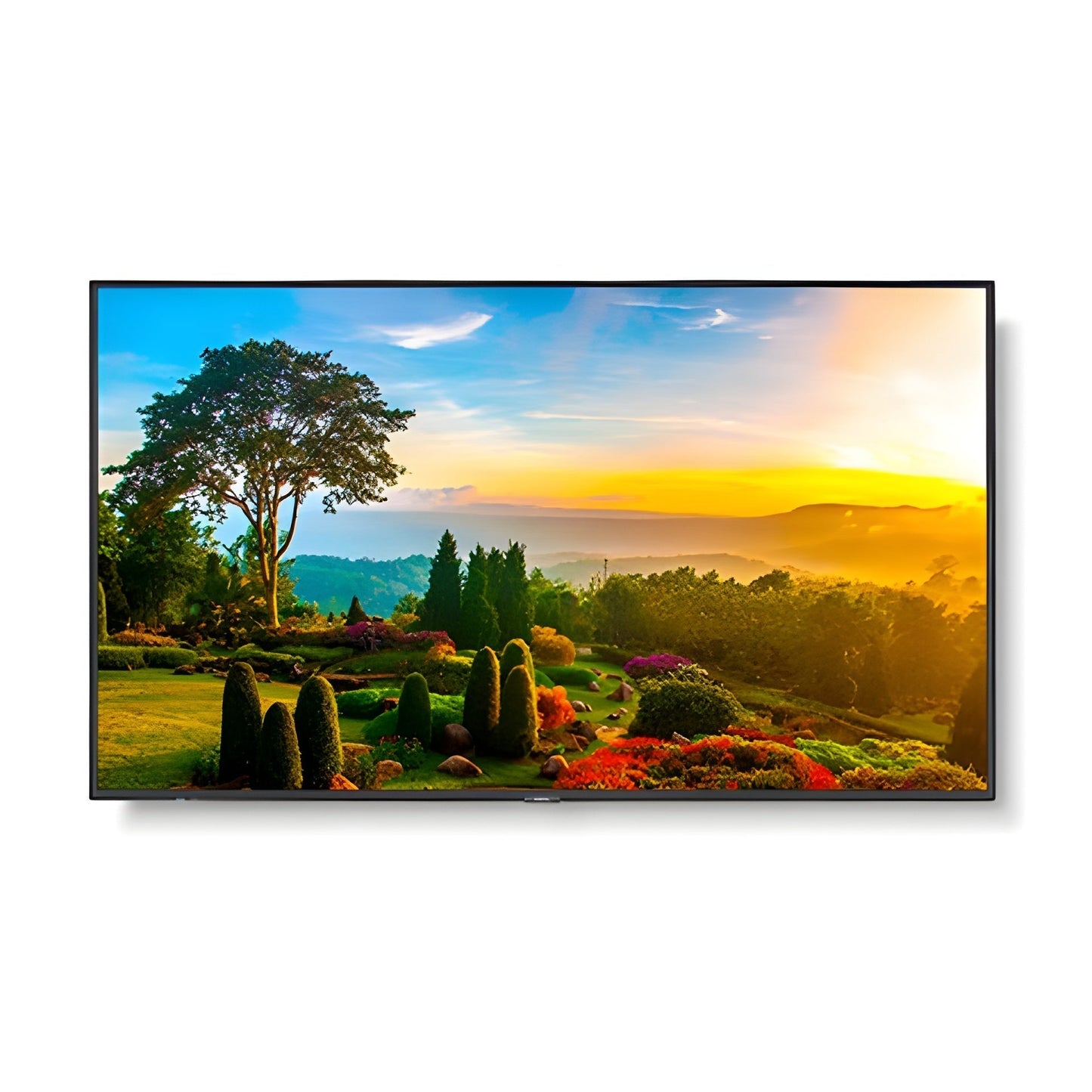 NEC M551 55" Ultra High Definition Professional Display - M551