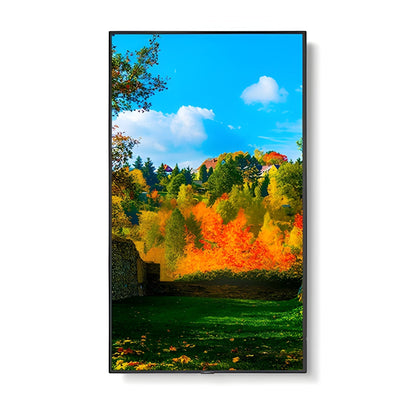 NEC M551 55" Ultra High Definition Professional Display - M551