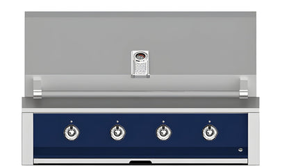 Aspire: 42" Built-In Gas Grill - EAB42-LP
