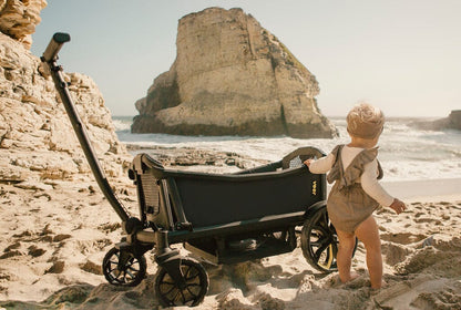 Veer Cruiser / Cruiser XL All-Terrain Wagon with Canopy and Sidewalls