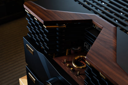 Cayin Pearl 30i the 30th Anniversary Tube Amplifier