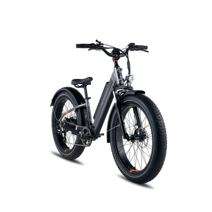 Rad Power Bikes RadRover™ 6 Plus Electric Fat Tire Bike - 101-00065