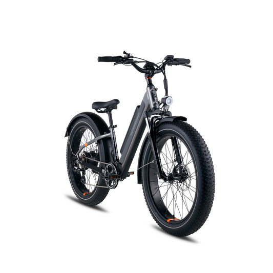 Rad Power Bikes RadRover 6 Plus Electric Fat Tire Bike, Top Speed 20mph - 101-00035