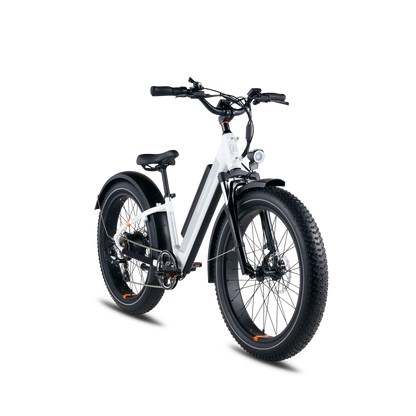 Rad Power Bikes RadRover 6 Plus Electric Fat Tire Bike, Top Speed 20mph - 101-00035
