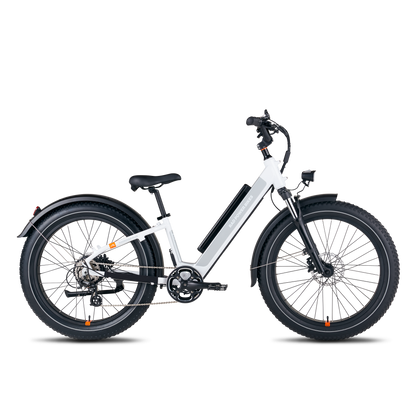 Rad Power Bikes RadRover™ 6 Plus Electric Fat Tire Bike - 101-00065