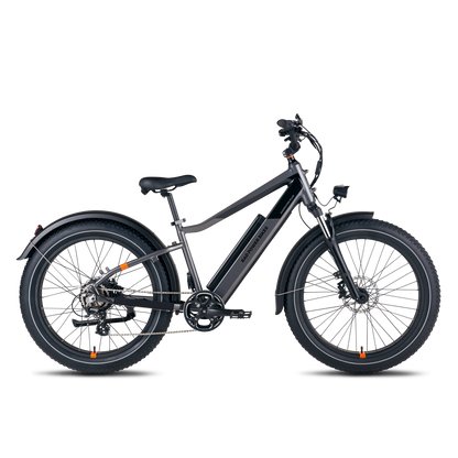 Rad Power Bikes RadRover™ 6 Plus Electric Fat Tire Bike - 101-00065