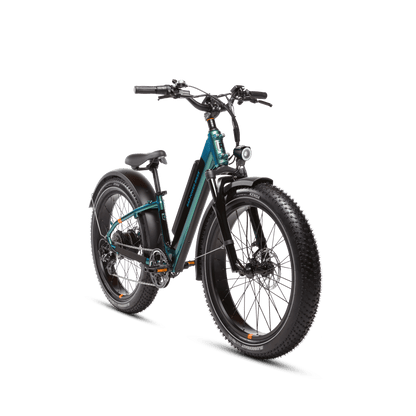 Rad Power Bikes RadRover™ 6 Plus Electric Fat Tire Bike - 101-00065