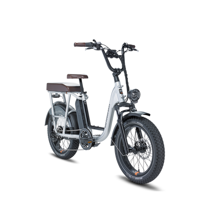 Rad Power Bikes RadRunner Plus, Top Speed 20mph - 106-00007