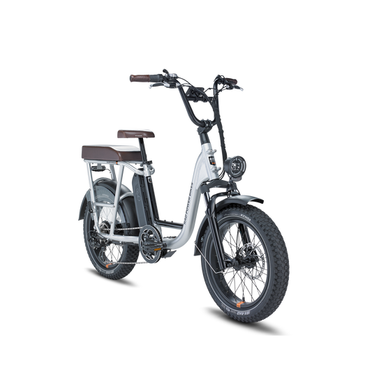 Rad Power Bikes RadRunner Plus, Top Speed 20mph - 106-00007